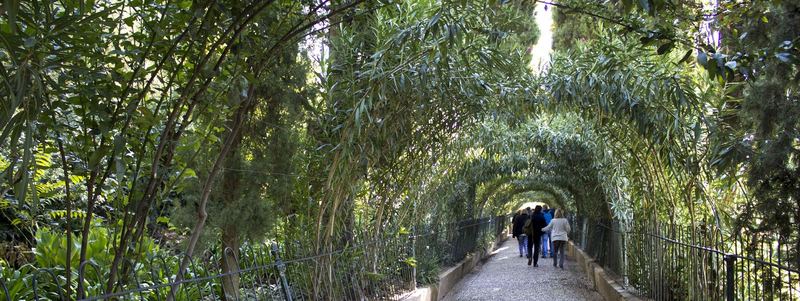 Der Oleanderweg des Generalife