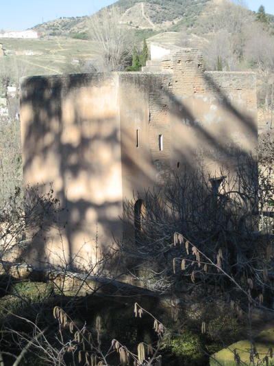 Foto dell'Alhambra di Granada: le torri