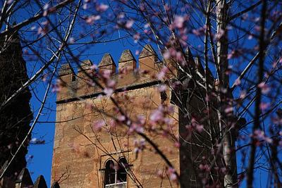 Foto dell'Alhambra di Granada: le torri