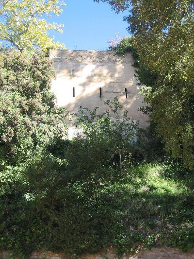 Foto dell'Alhambra di Granada: le torri