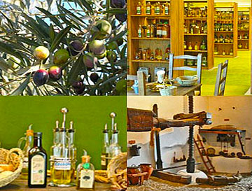 Tour Aceite de Oliva